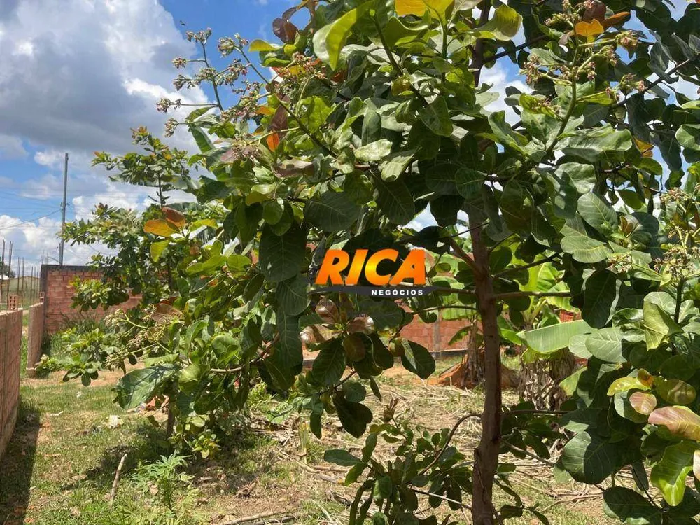 Terreno, 250 m² - Foto 12