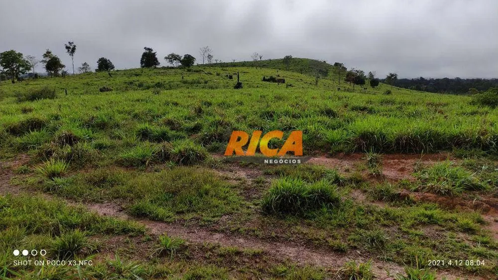 Fazenda, 5326 hectares - Foto 12