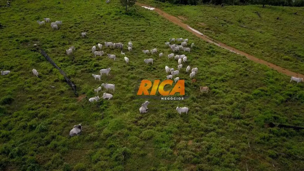 Fazenda, 5326 hectares - Foto 6