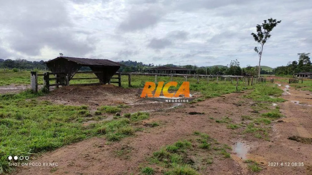 Fazenda, 5326 hectares - Foto 7