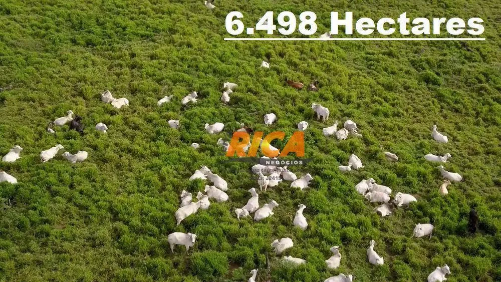 Fazenda, 5326 hectares - Foto 2