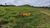 Fazenda, 5326 hectares - Foto 4