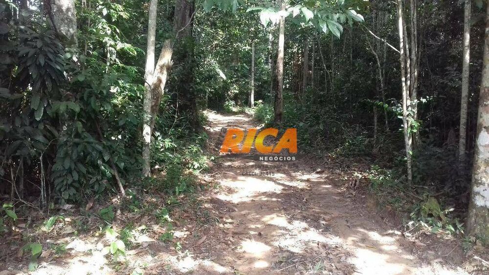 Sítio à venda com 3 quartos, 200000M2 - Foto 2