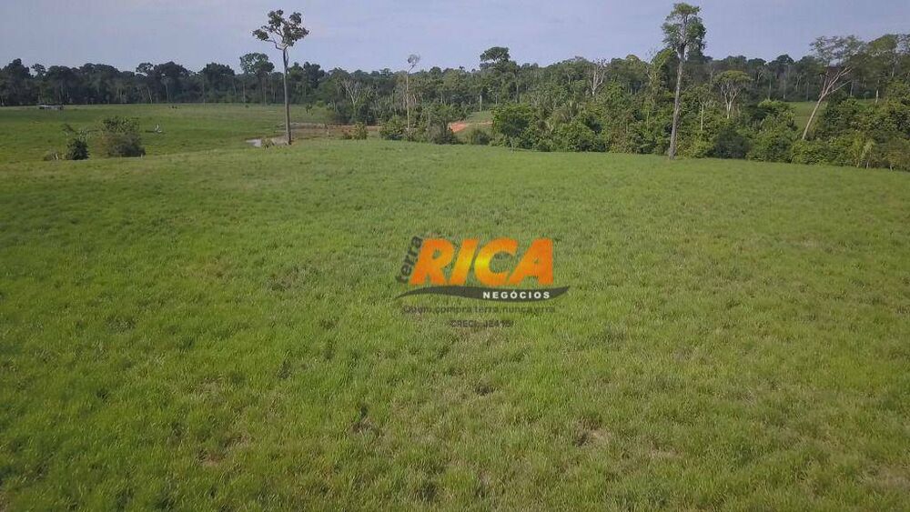Fazenda, 618 hectares - Foto 3