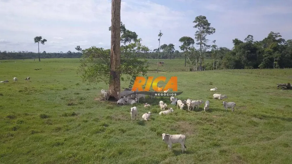 Fazenda, 618 hectares - Foto 9