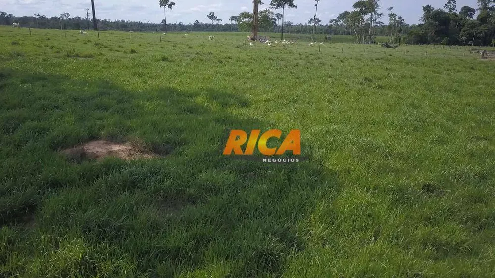 Fazenda, 618 hectares - Foto 8