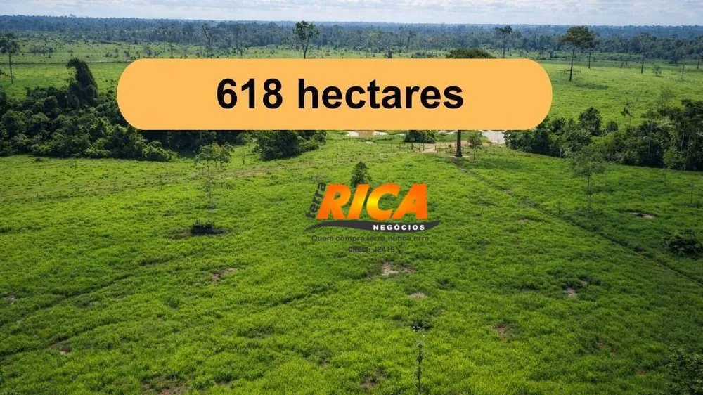 Fazenda, 618 hectares - Foto 2