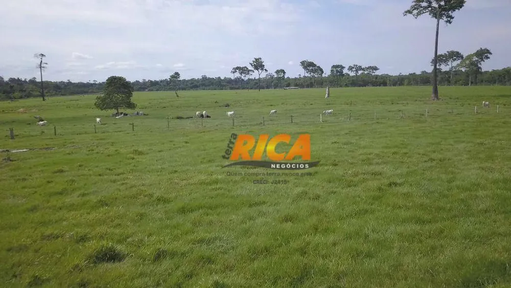 Fazenda, 618 hectares - Foto 3