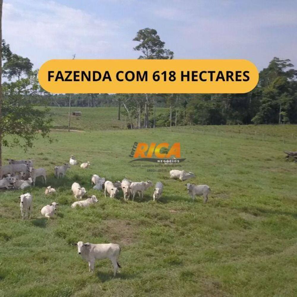 Fazenda, 618 hectares - Foto 1