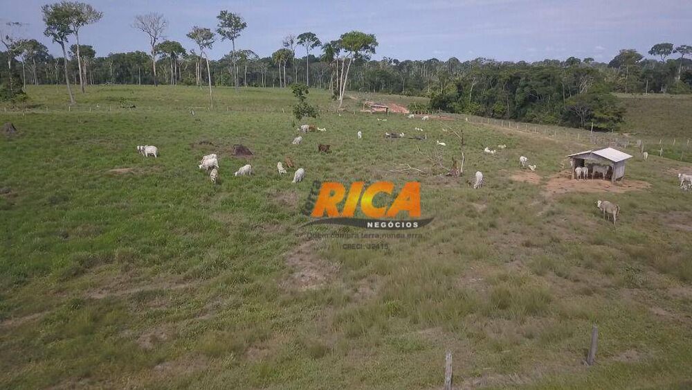 Fazenda, 618 hectares - Foto 4
