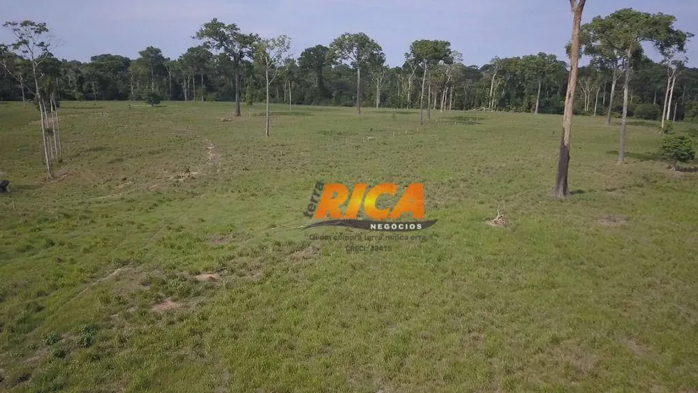 Fazenda, 618 hectares - Foto 6