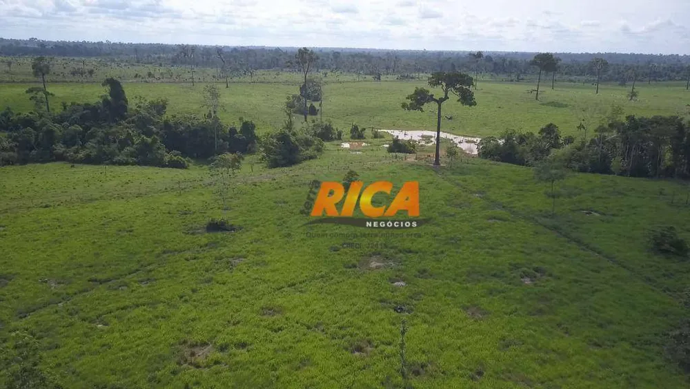 Fazenda, 618 hectares - Foto 7