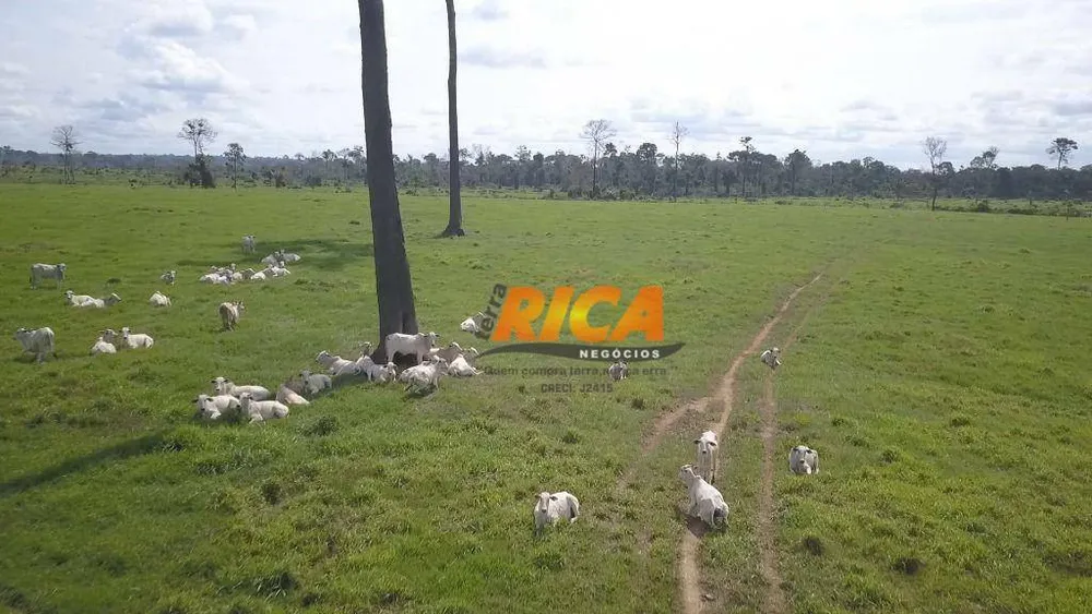 Fazenda, 618 hectares - Foto 2