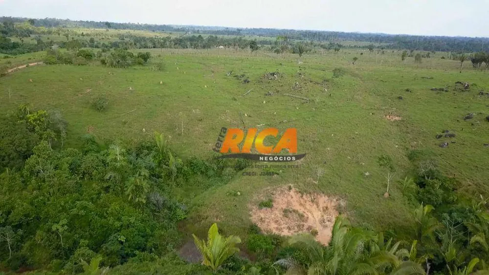 Fazenda, 297 hectares - Foto 6
