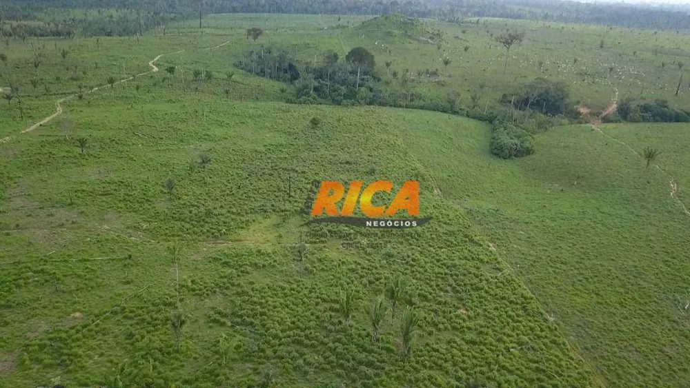 Fazenda, 297 hectares - Foto 10