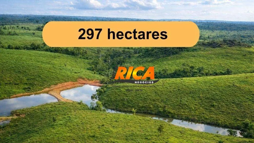 Fazenda, 297 hectares - Foto 7