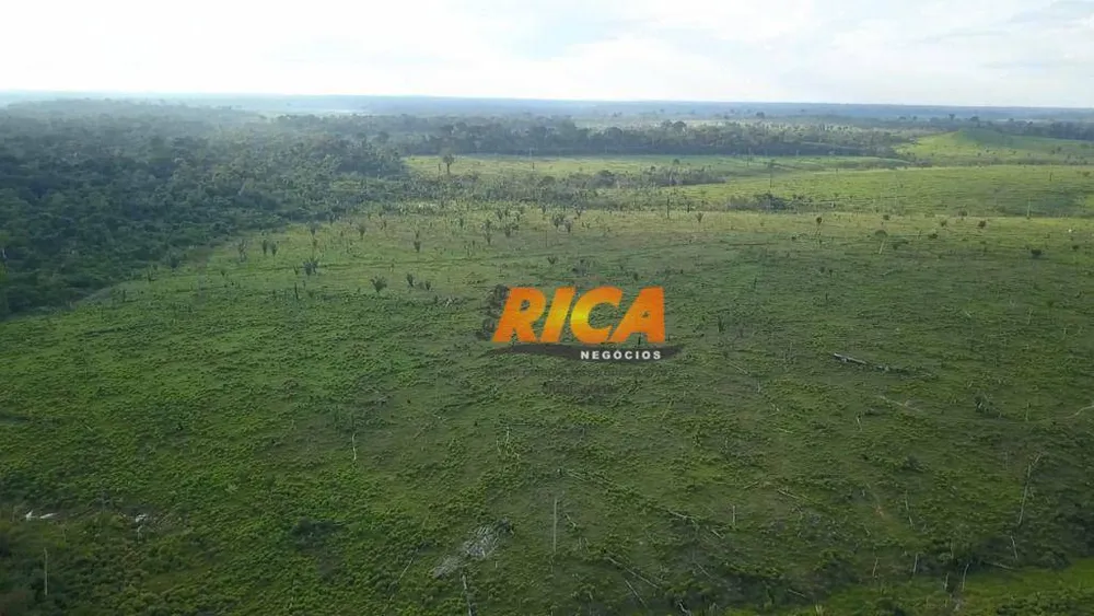 Fazenda, 297 hectares - Foto 14