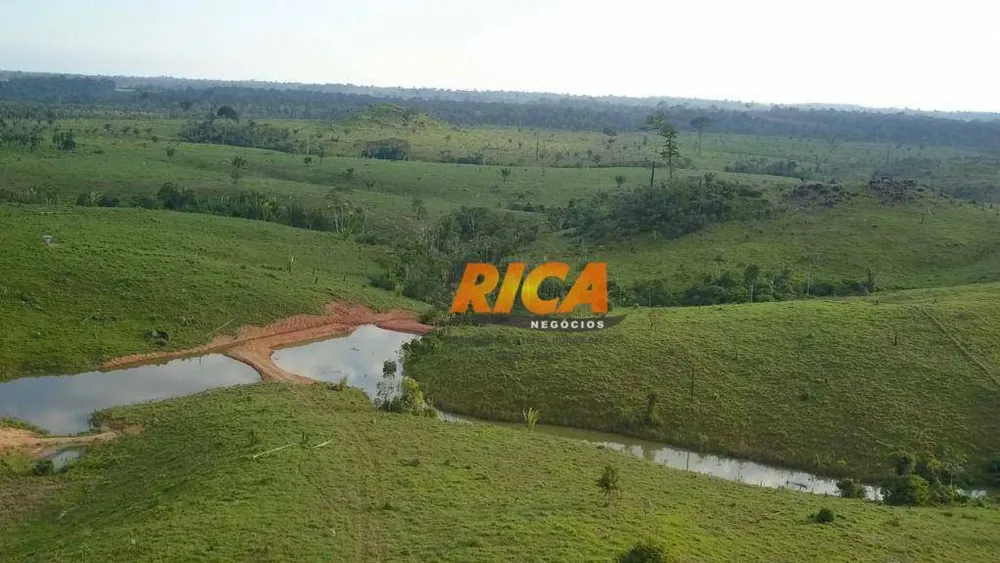 Fazenda, 297 hectares - Foto 9
