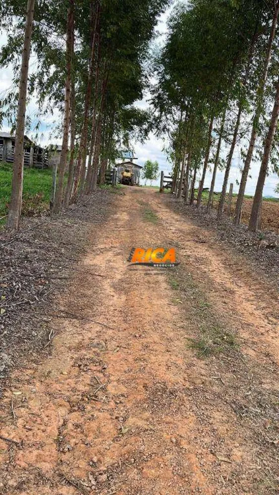 Fazenda, 128 m² - Foto 7