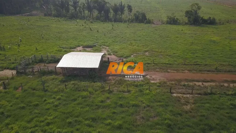 Fazenda, 101 hectares - Foto 7