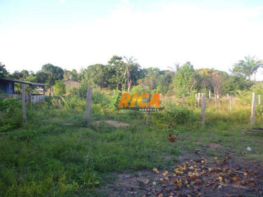 Chácara, 2 quartos, 1 hectares - Foto 24