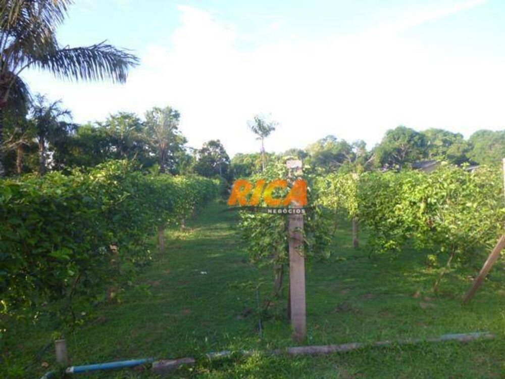 Chácara, 2 quartos, 1 hectares - Foto 18