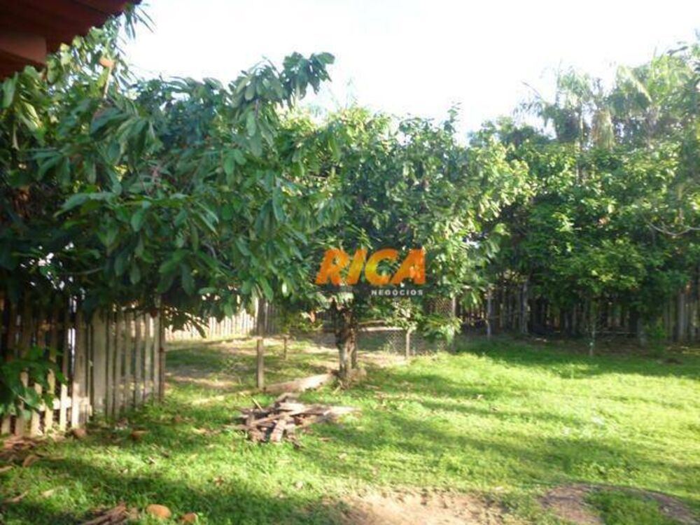 Chácara, 2 quartos, 1 hectares - Foto 15