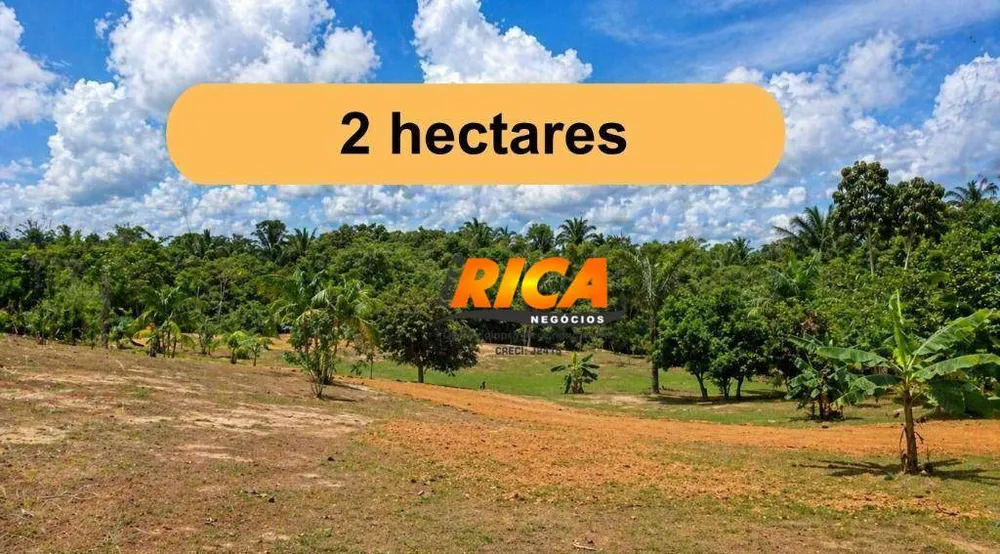 Sítio, 2 hectares - Foto 2