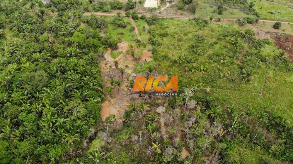 Sítio, 2 hectares - Foto 11