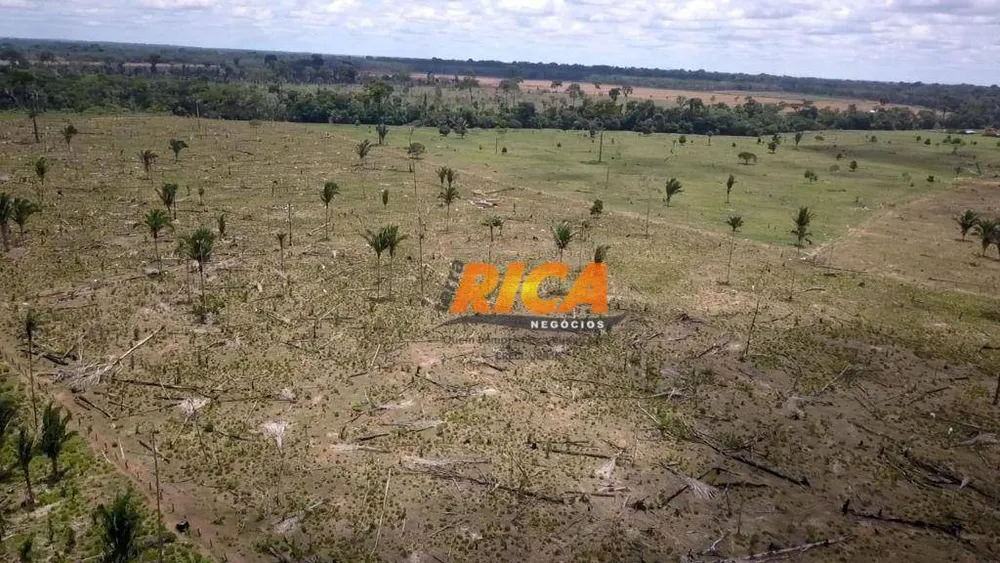 Fazenda, 140 hectares - Foto 11