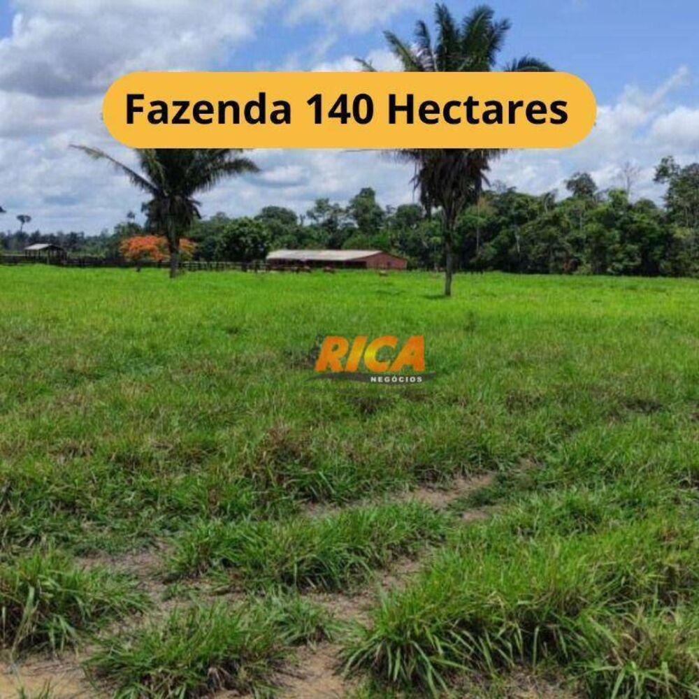 Fazenda, 140 hectares - Foto 5