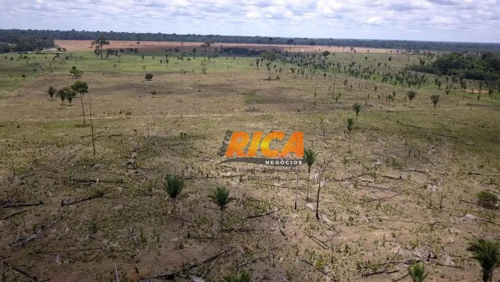 Fazenda, 140 hectares - Foto 2