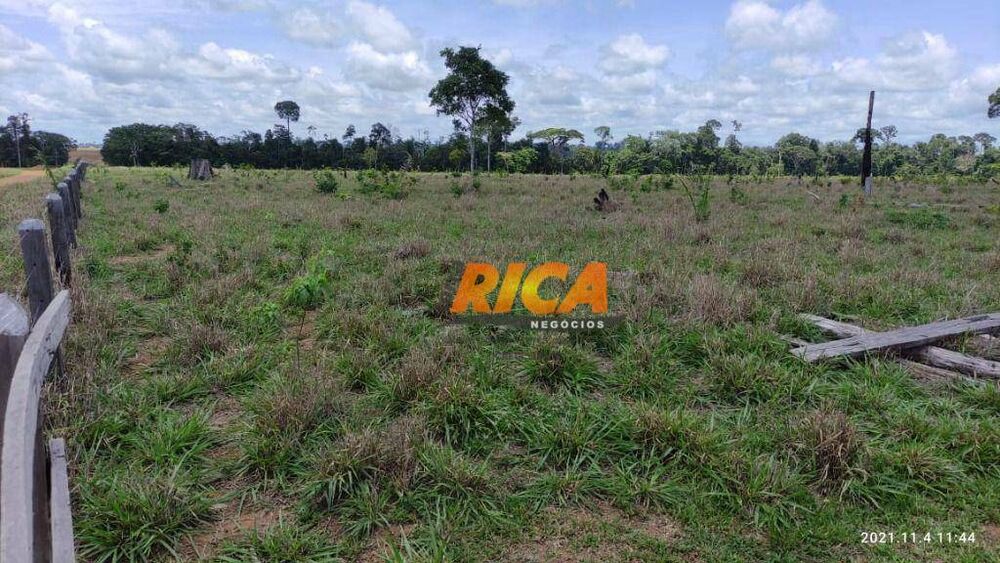 Fazenda, 140 hectares - Foto 6