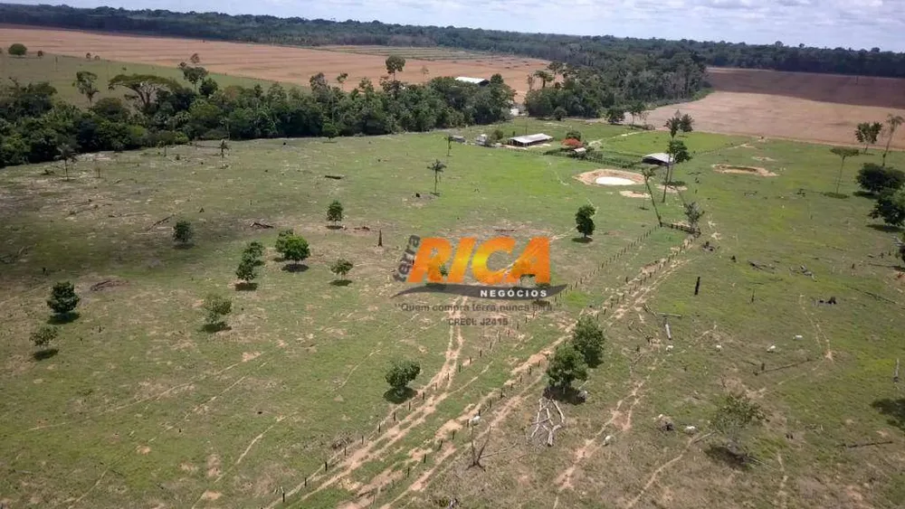 Fazenda, 140 hectares - Foto 12