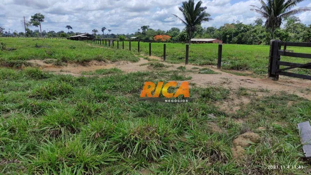 Fazenda, 140 hectares - Foto 4