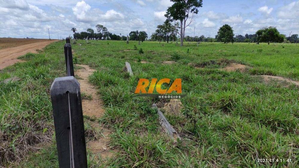Fazenda, 140 hectares - Foto 7