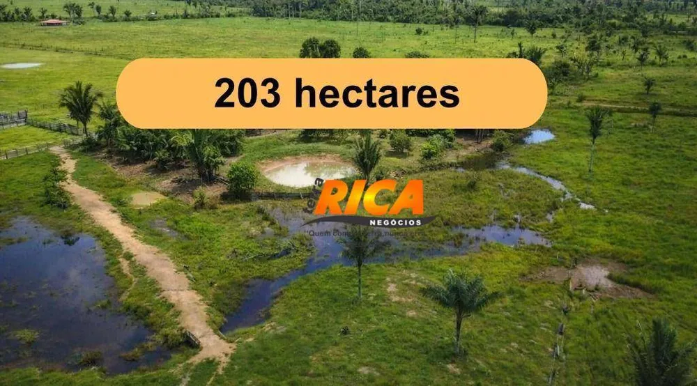 Fazenda, 203 hectares - Foto 1
