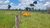 Fazenda, 203 hectares - Foto 3