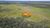 Fazenda, 203 hectares - Foto 18