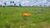 Fazenda, 203 hectares - Foto 2