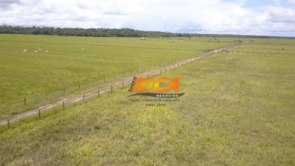 Fazenda, 402 hectares - Foto 10