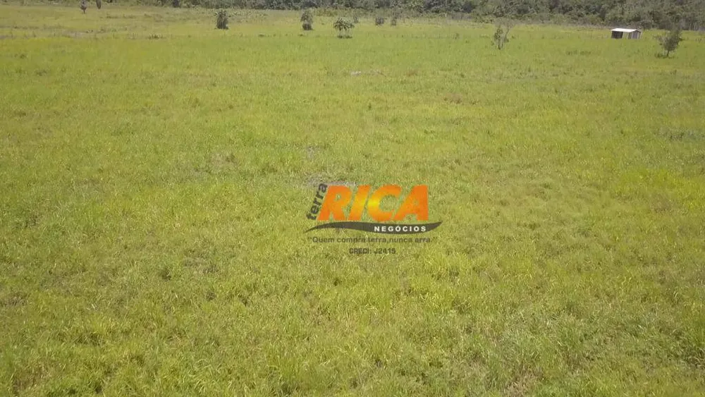 Fazenda, 402 hectares - Foto 6
