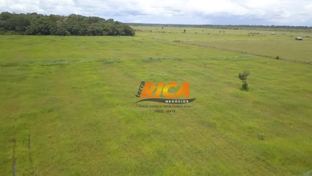 Fazenda, 402 hectares - Foto 13