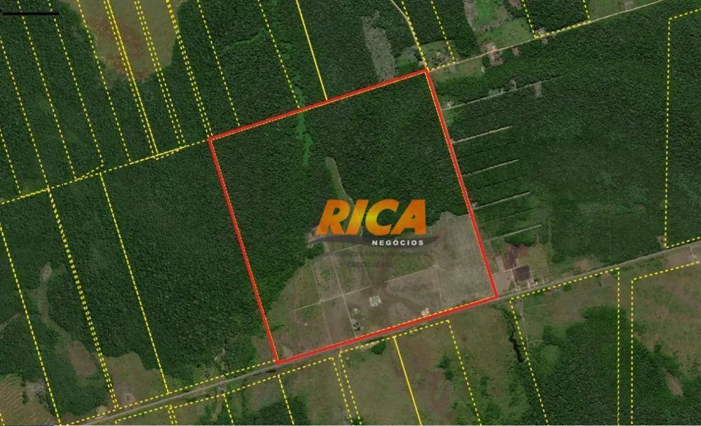 Fazenda, 402 hectares - Foto 16