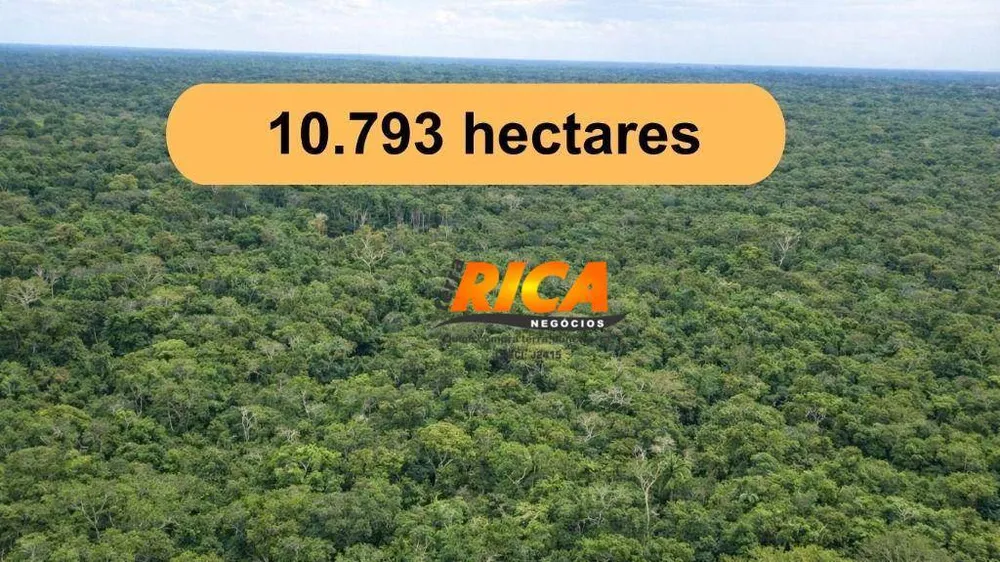 Fazenda, 10793 hectares - Foto 1
