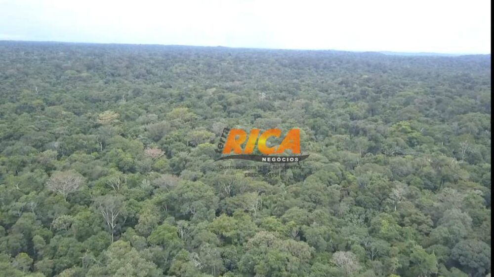 Fazenda, 10793 hectares - Foto 2