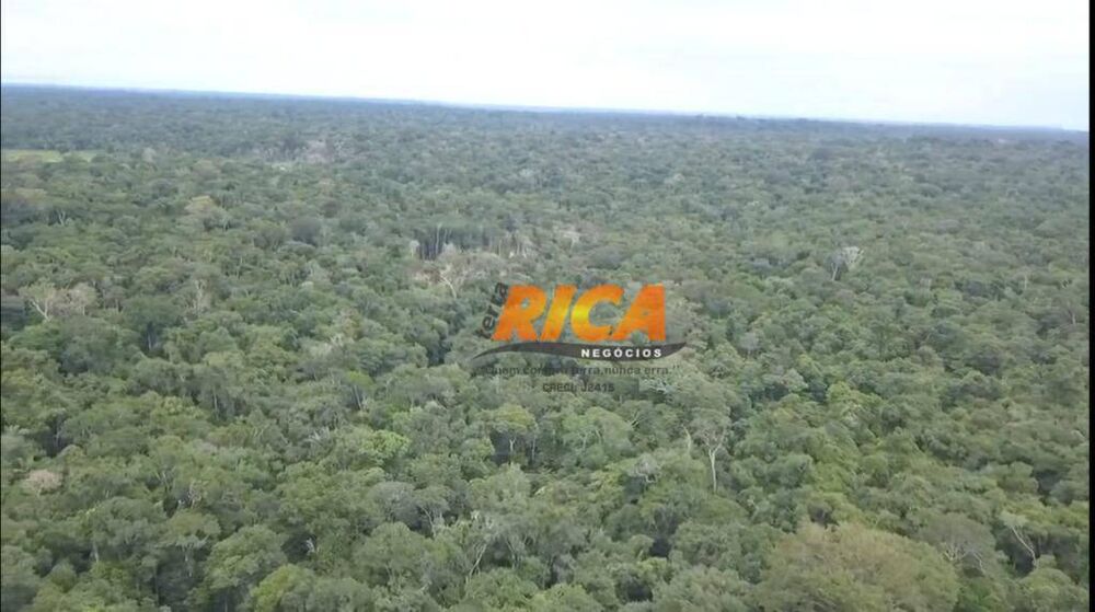 Fazenda, 10793 hectares - Foto 3