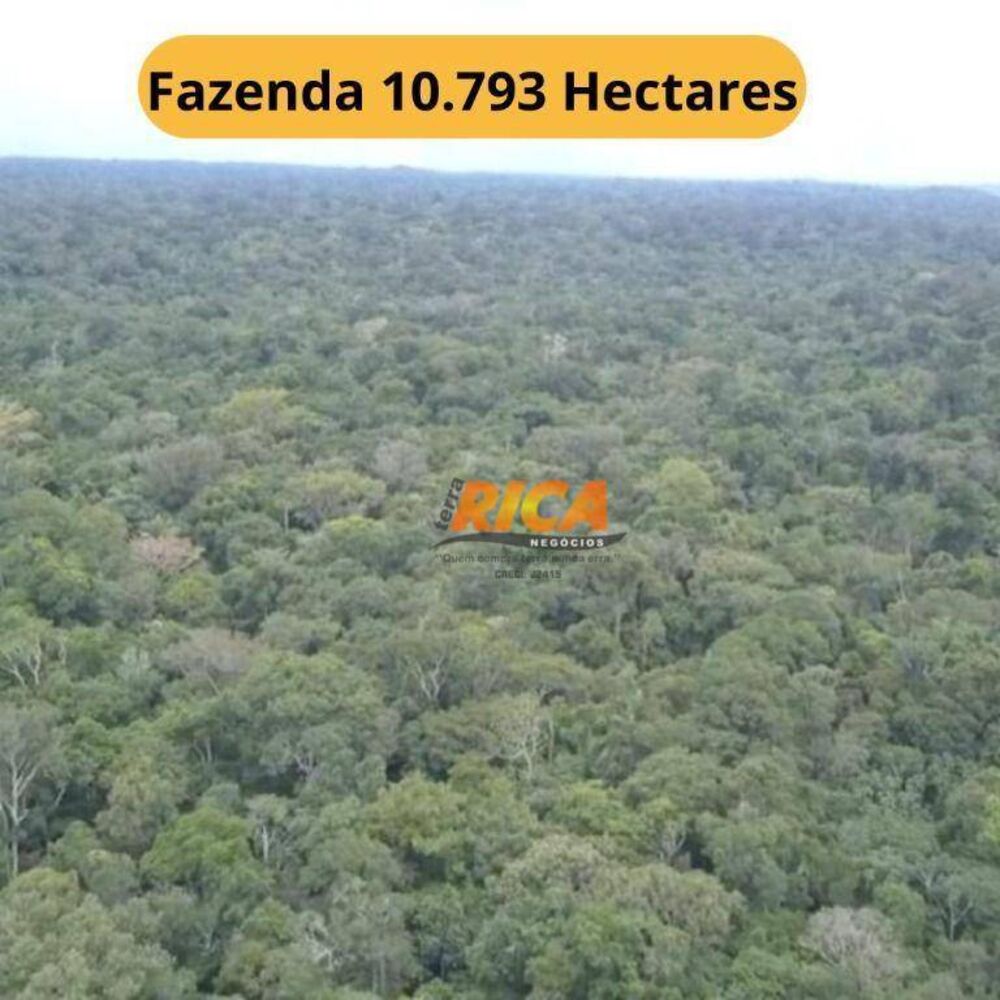 Fazenda, 10793 hectares - Foto 1
