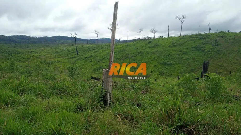 Fazenda, 1450 hectares - Foto 9