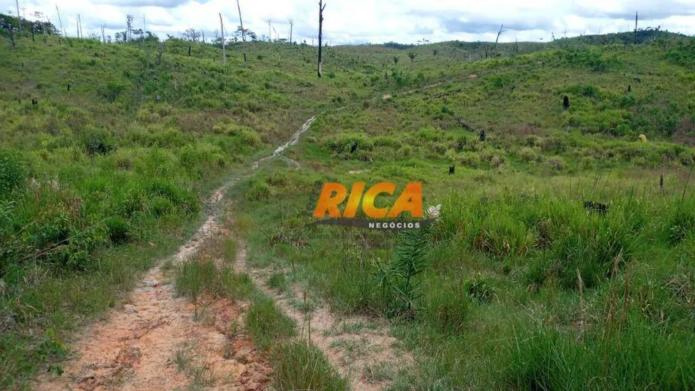 Fazenda, 1450 hectares - Foto 6